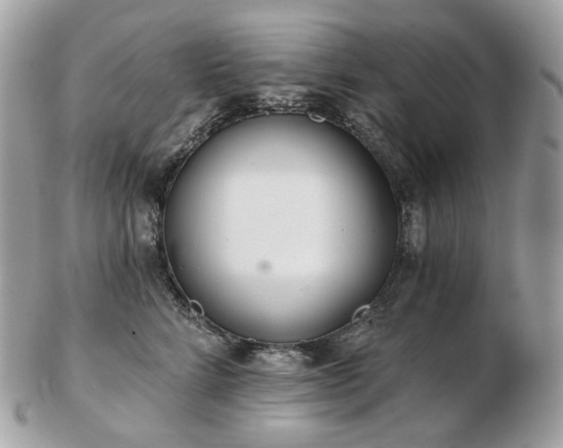 X0000103280712200808291311