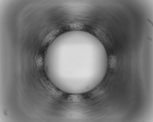 X0000103280713200808291311