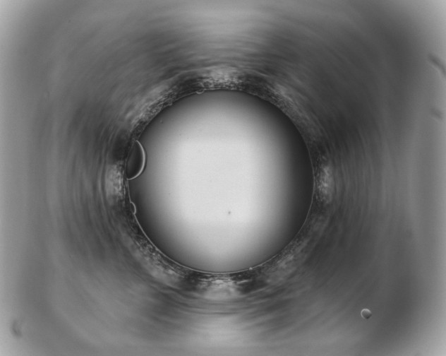 X0000103280715200808291311