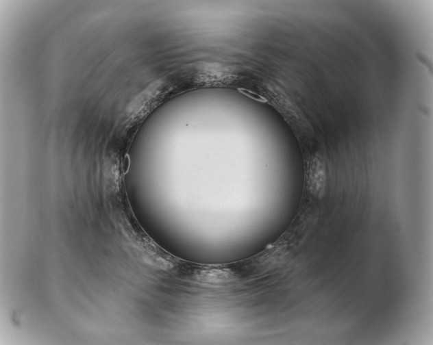 X0000103280716200808291311