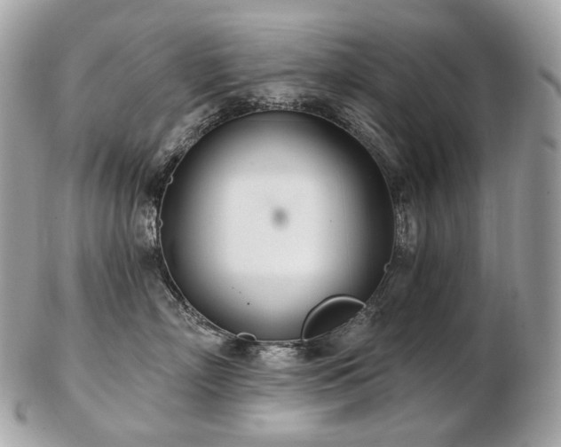 X0000103280718200808291311