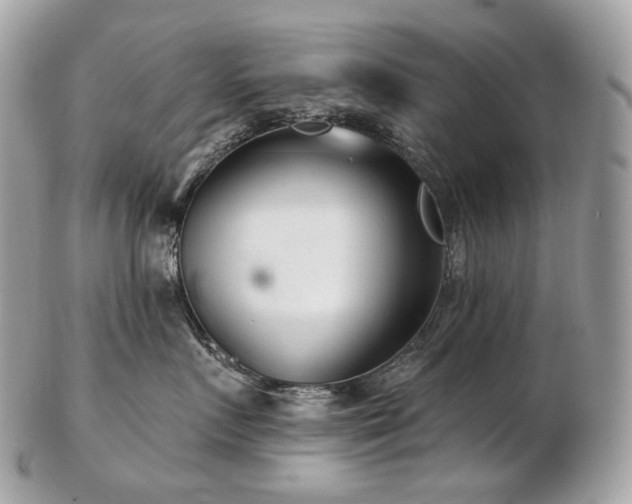 X0000103280719200808291311