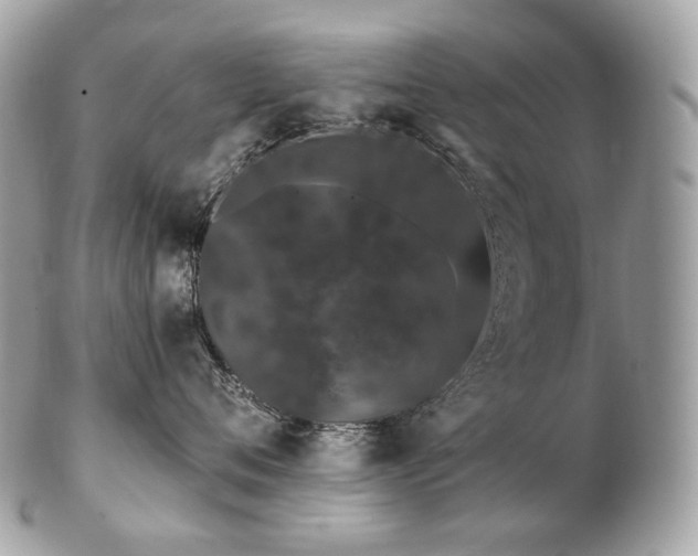 X0000103280720200808291311