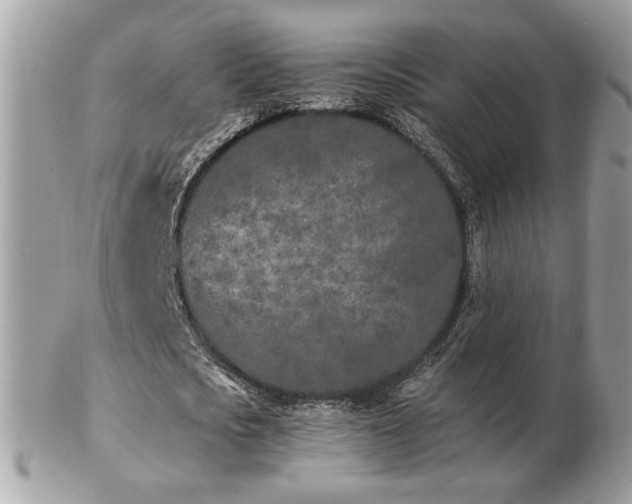 X0000103280721200808291310