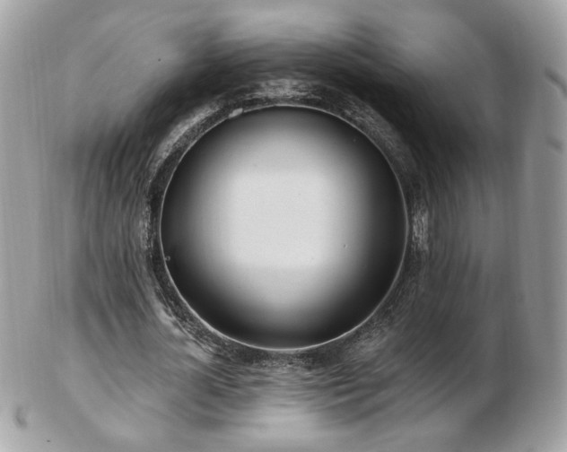 X0000103280724200808291310