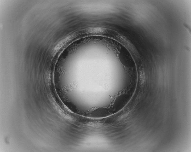 X0000103280725200808291310