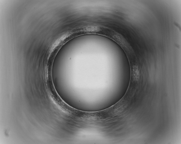 X0000103280726200808291310