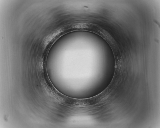 X0000103280727200808291310