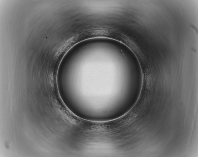 X0000103280729200808291310