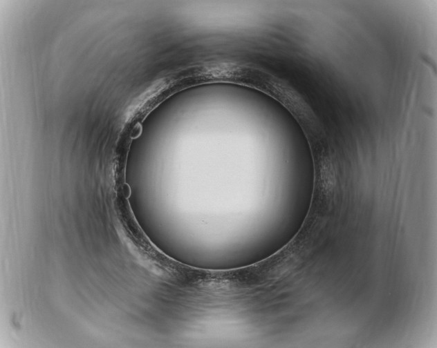 X0000103280730200808291311