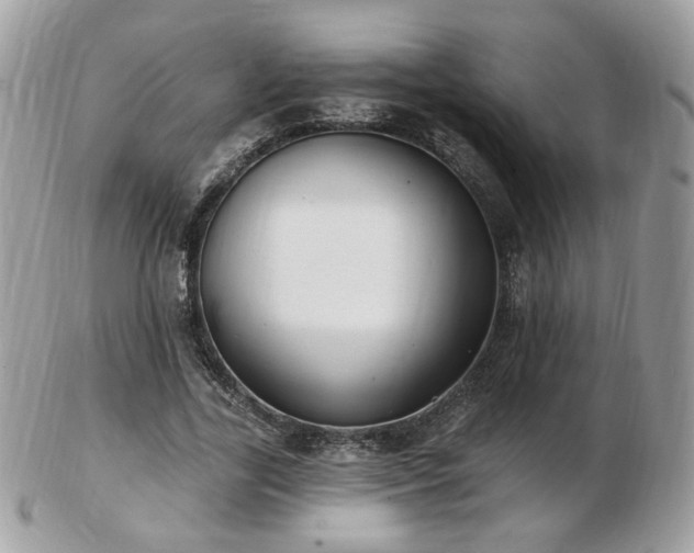 X0000103280731200808291311