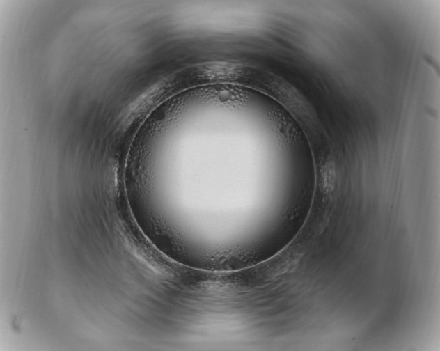 X0000103280733200808291311