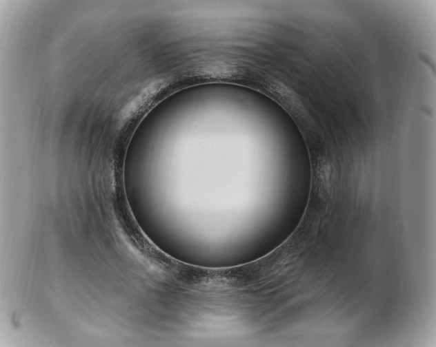 X0000103280734200808291311