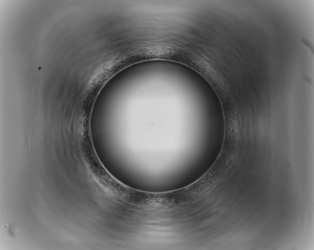 X0000103280736200808291311