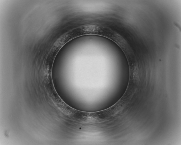 X0000103280737200808291311