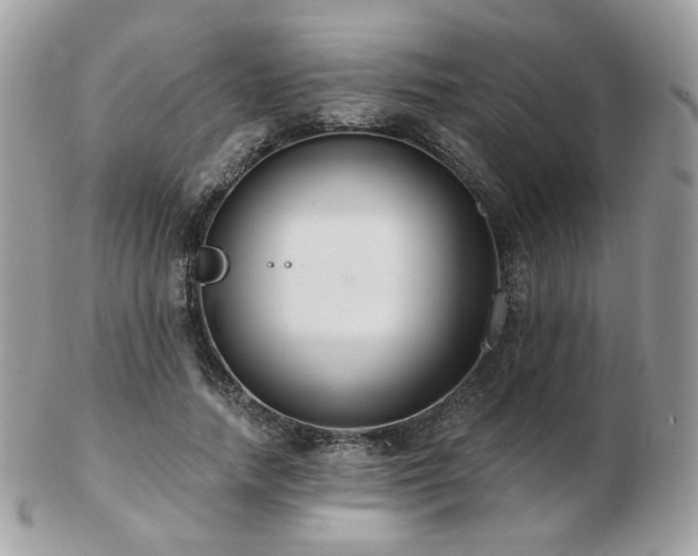 X0000103280738200808291311