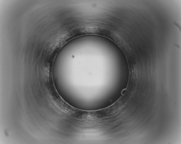 X0000103280739200808291311