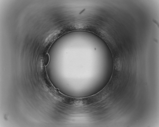 X0000103280740200808291311