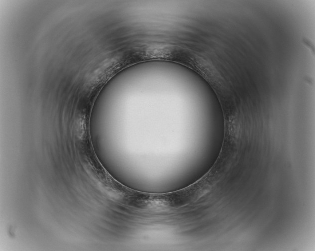 X0000103280741200808291311