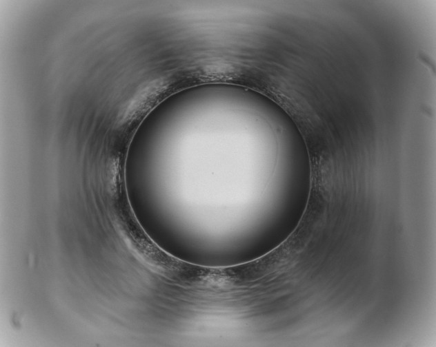 X0000103280742200808291311