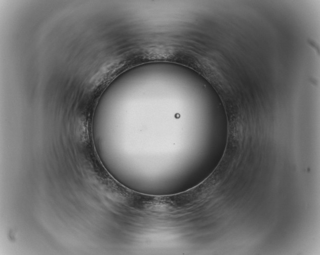 X0000103280743200808291311