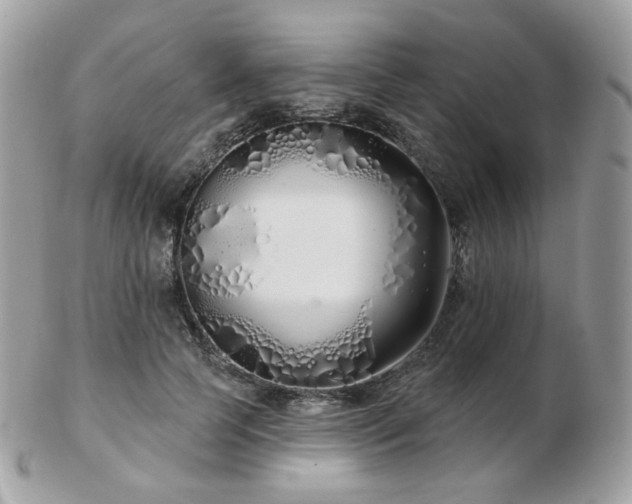 X0000103280745200808291311