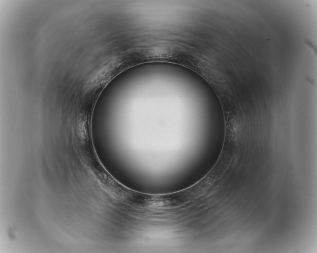 X0000103280746200808291311