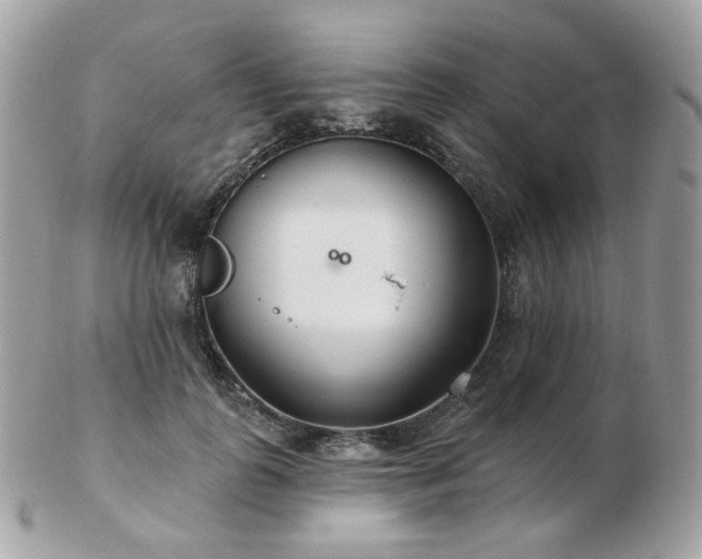 X0000103280747200808291311