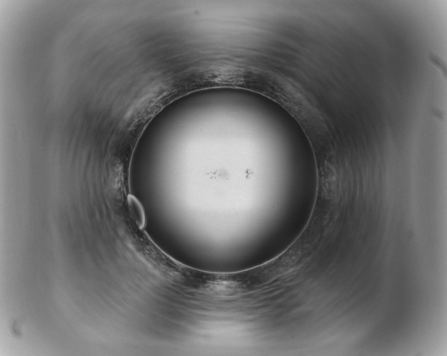 X0000103280748200808291311