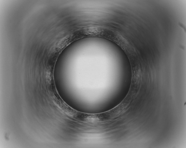 X0000103280749200808291311