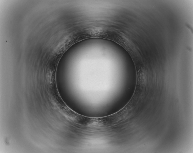 X0000103280750200808291311