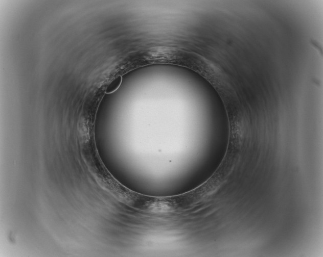 X0000103280751200808291311