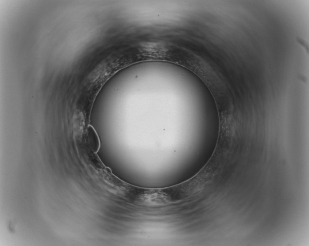 X0000103280752200808291311