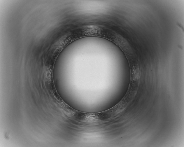 X0000103280753200808291311