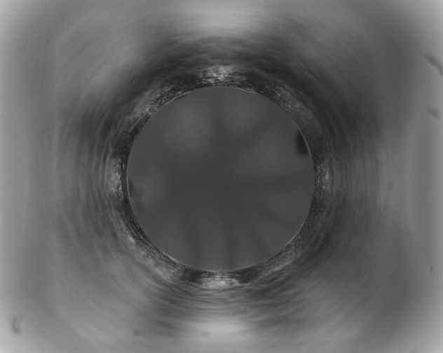 X0000103280754200808291311