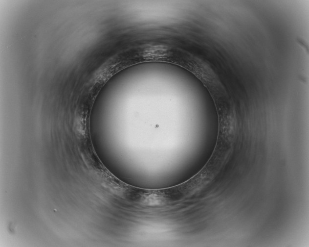 X0000103280755200808291311