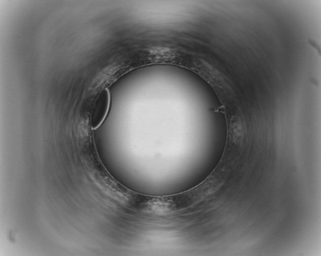 X0000103280756200808291311