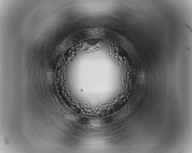 X0000103280757200808291311