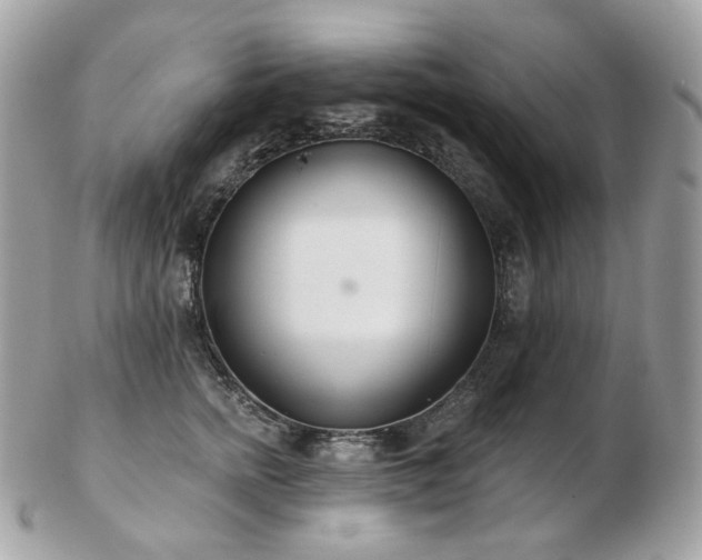 X0000103280758200808291311