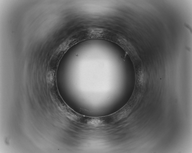 X0000103280759200808291311