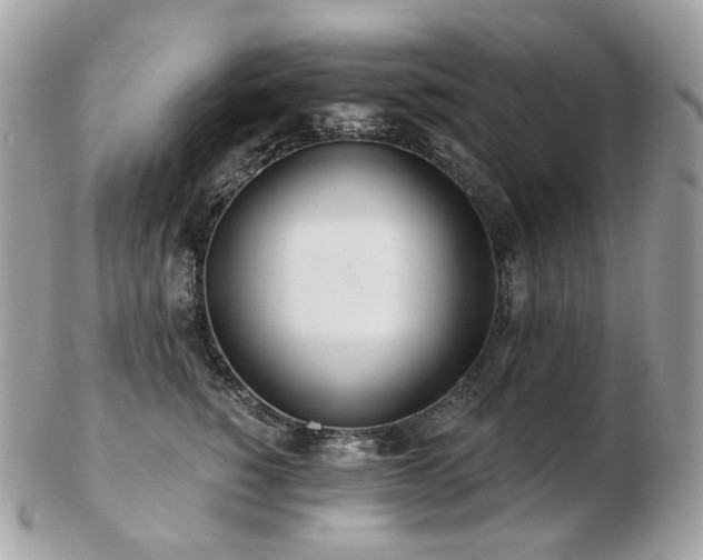 X0000103280760200808291311