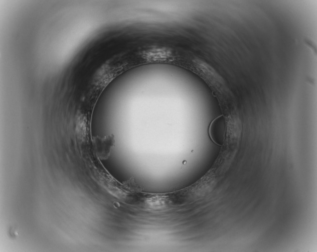 X0000103280761200808291311