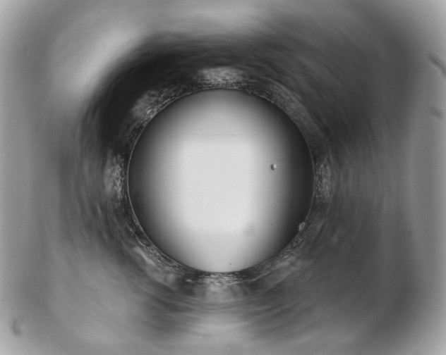 X0000103280762200808291311