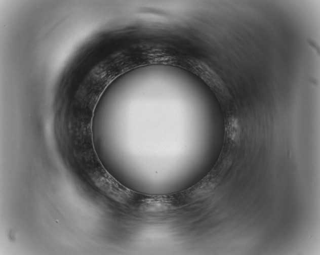 X0000103280763200808291311