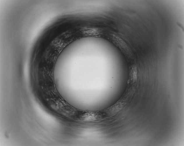 X0000103280764200808291311