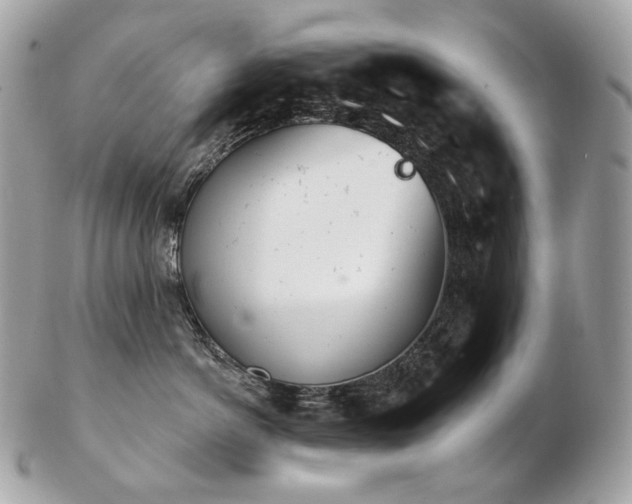 X0000103280766200808291311