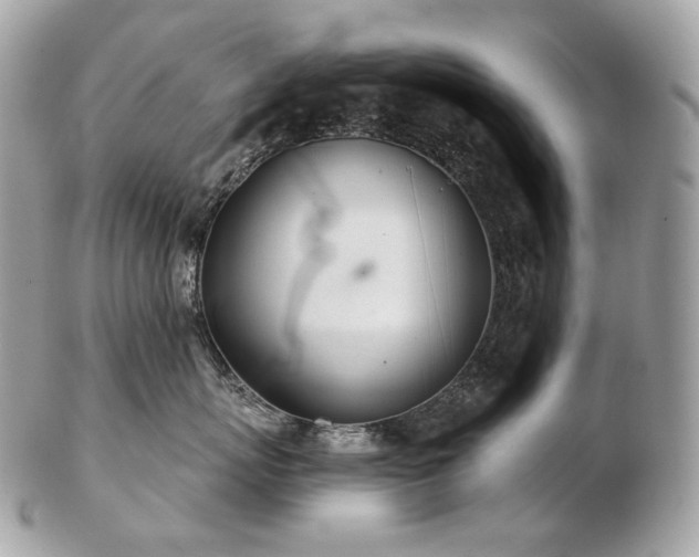 X0000103280767200808291311