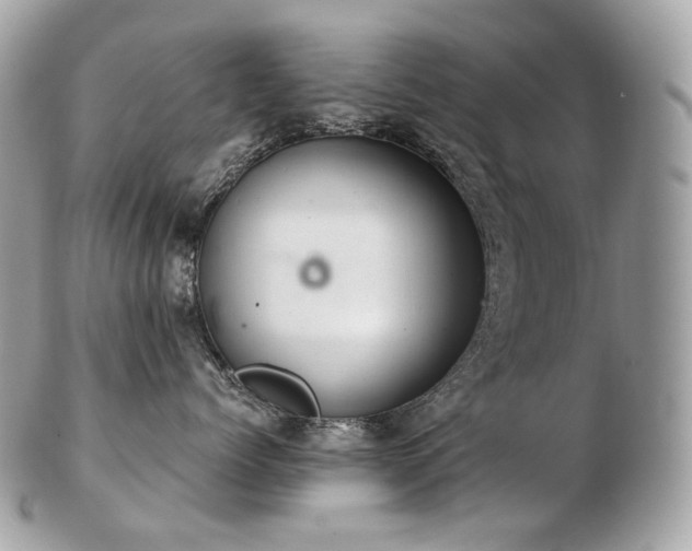 X0000103280768200808291311