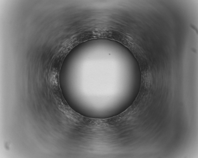 X0000103280770200808291310