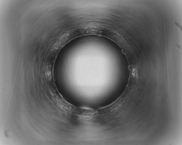 X0000103280771200808291310